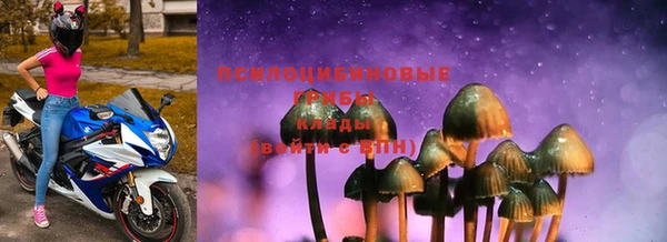 дживик Арсеньев