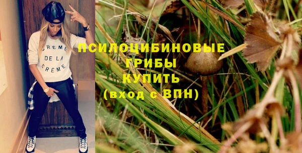 прущий лед Алексин