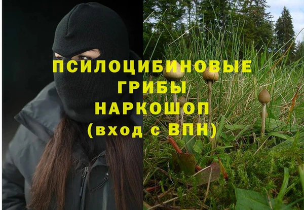 дживик Арсеньев