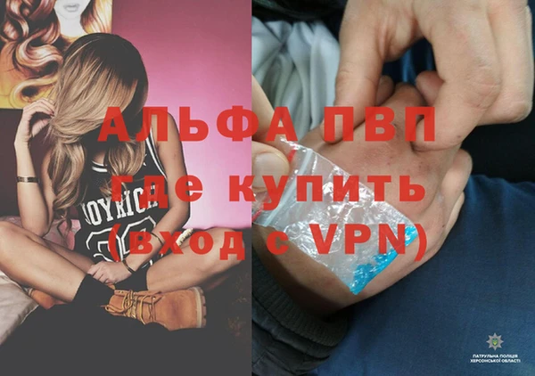 дживик Арсеньев