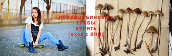 тгк Аркадак