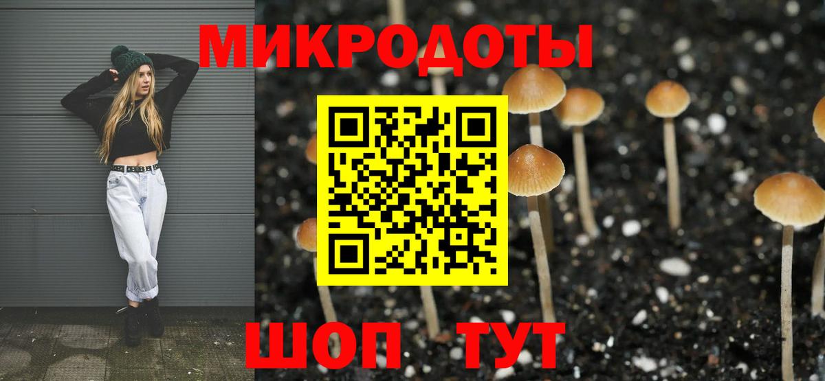 Галлюциногенные грибы мухоморы Краснотурьинск