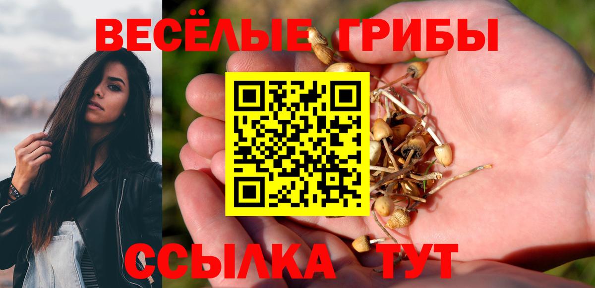 Краснотурьинск  Псилоцибиновые грибы Psilocybe  Вход с VPN  Псилоцибиновые грибы GOLDEN TEACHER 